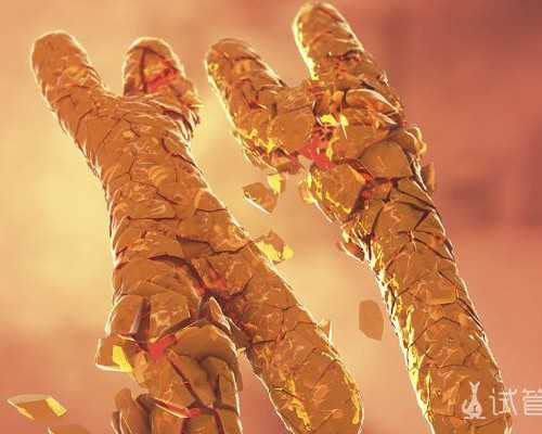 南方试管捐卵_试管婴费用,试管前备孕能提高试管婴儿成功率吗