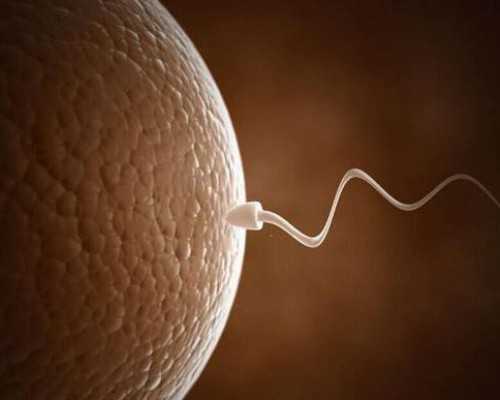 北京传承助孕_心安国际试管靠谱吗|2024年广西桂林供卵第三代试管婴儿医院排名