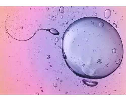 上海rfg皇家试管_AA69费用|哈尔滨第三代供卵试管婴儿供卵助孕生子医院排名公布