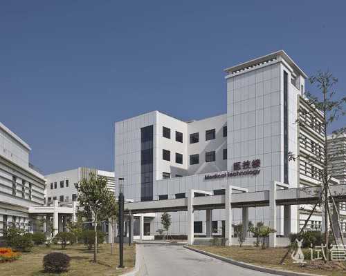 柬埔寨哪家医院做试管比较好|石家庄捐卵供卵机构优势卵泡的标准？